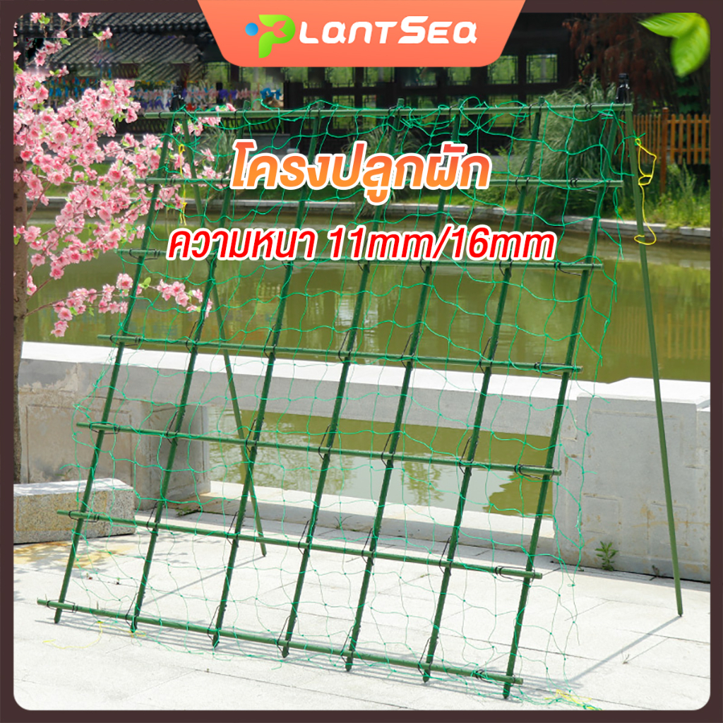 เสาไม้เลื้อย ค้ำต้น ซุ้มเลื้อย กระกางต้น  โครงปลูกผัก หนา มะเขือเทศ ความหนา 11/16มม. แข็งแรง ทนทาน