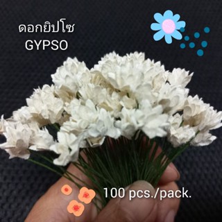 ดอกยิปโซ แพค100ดอก #Gypso #ดอกกระดาษสา