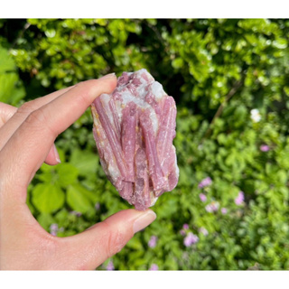 1 Piece Pink Tourmaline in Matrix Quartz, Pink Tourmaline Cluster, Crystal Cluster, Crystal Specimen, Healing Crystal