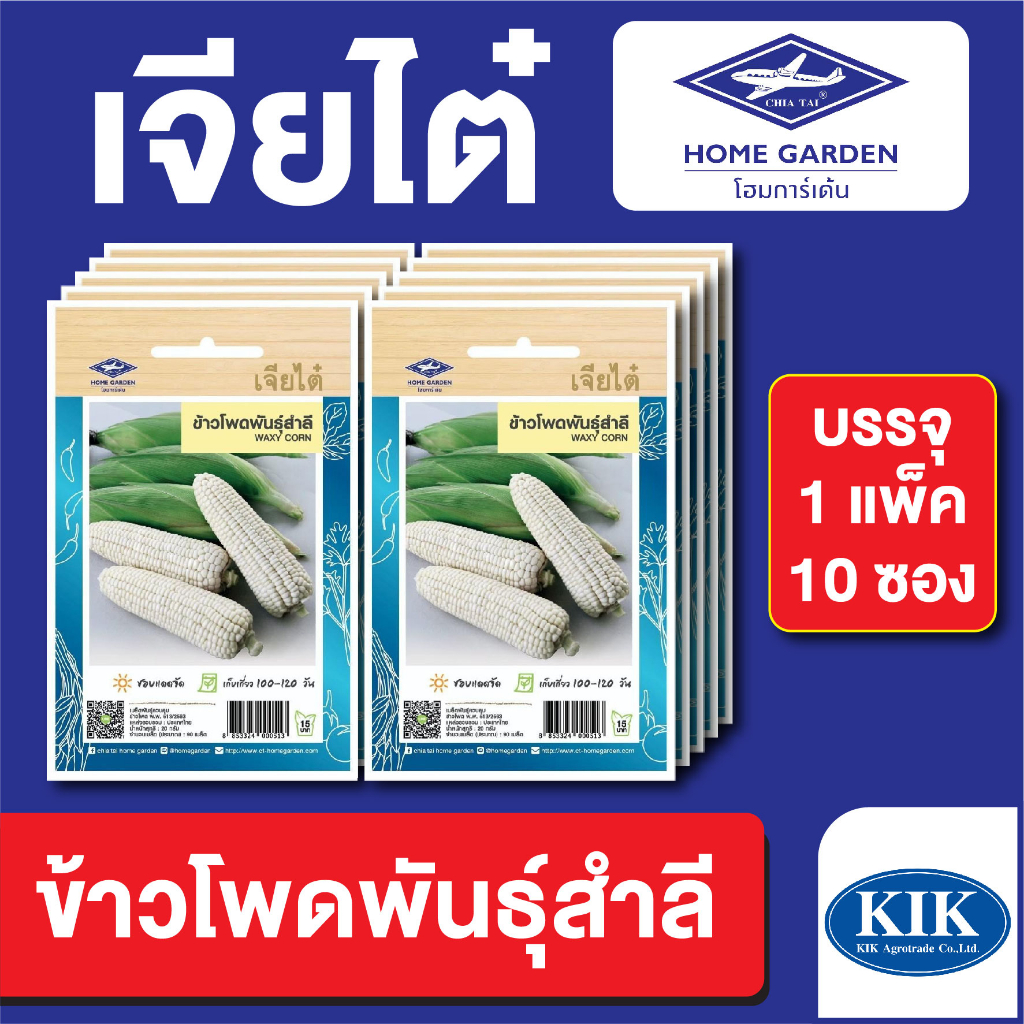 ผักซอง เจียไต๋ CT15  ข้าวโพดพันธุ์สำลี บรรจุแพ็คล่ะ 10 ซอง ราคา 80 บาท