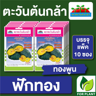 เมล็ดพันธุ์ ผักซอง ฟักทอง ทองพูน  ตราตะวันต้นกล้า บรรจุแพคล่ะ 10 ซอง ราคา 64 บาท