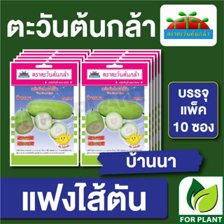 เมล็ดพันธุ์ ผักซอง แฟงไส้ตัน บ้านนา ตราตะวันต้นกล้า บรรจุแพคล่ะ 10 ซอง ราคา 64 บาท