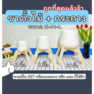 ขาตั้งกระถาง ขาตั้ง + กระถาง 🪴 เก็บโค้ดลด 6 8 10 นิ้ว ขาตั้งไม้ คู่กับกระถางเบลล่า ถูกที่สุด ไม้สนนอก พร้อมส่ง