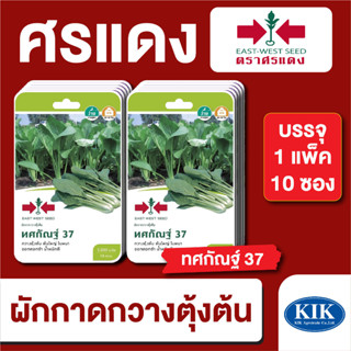 เมล็ดพันธุ์ ผักซอง ศรแดง กวางตุ้งต้น ทศกัณฐ์ F1 บรรจุแพ็คละ …