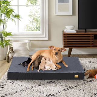 BINGOPAW เบาะที่นอน ขนาดใหญ่ ซักทําความสะอาดได้ สําหรับสัตว์เลี้ยงสุนัขแมว Large Orthopedic Dog Bed with Washable Cover