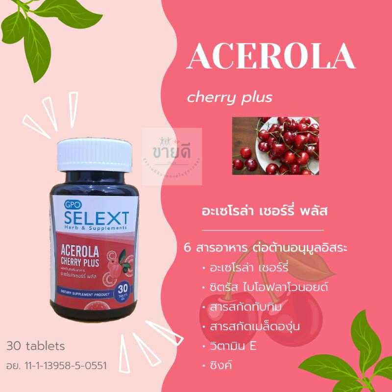 [New‼️] Acerola cherry plus - องค์การเภสัชกรรม[Exp.12/24]