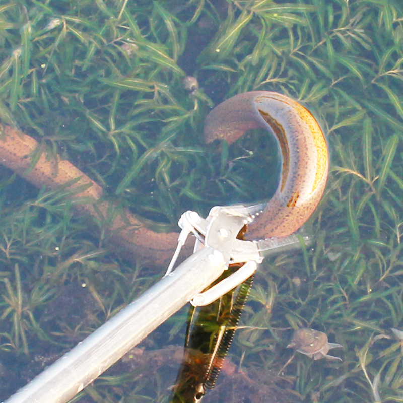 รูปภาพ 9