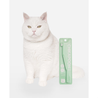 Bite Me Dual Head Toothbrush for Cat - อุปกรณ์แปรงฟันสำหรับแมว