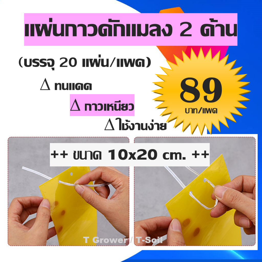 *ส่งไว* แผ่นกาวดักแมลง (บรรจุ 20 แผ่น) ขนาด 10x20ซม.กาวเหนียว 2 ด้าน กาวดักแมลงวันทอง แมลงศัตรูพืช​