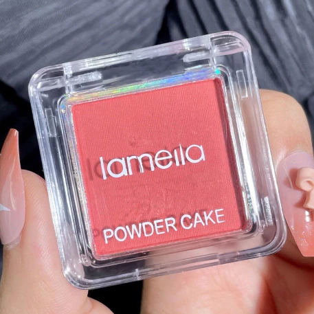 Lameila#3591บลัชออน 4 โทนสี ปัดแก้มโทนชมพูหวาน พร้อมแปรงปัด พกพาสะดวก thumbnail 7