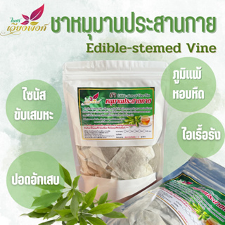 ชาหนุมานประสานกาย หนุมานประสานกาย (Edible-stemed vine tea) บรรเทาอาการไอ เจ็บคอ คออักเสบ ภูมิแพ้อากาศ โรคหืด ขับเสมหะ