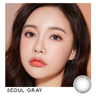 SEOUL GRAY (DIA14.2) : ProTrend Color