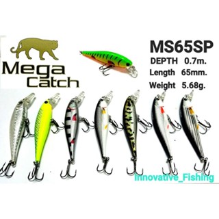 เหยื่อปลอม ตกปลา MEGA CATCH รุ่น 65mm./5.68g. แอคชั่นสวยๆมีเสียงลูกปืนในตัว