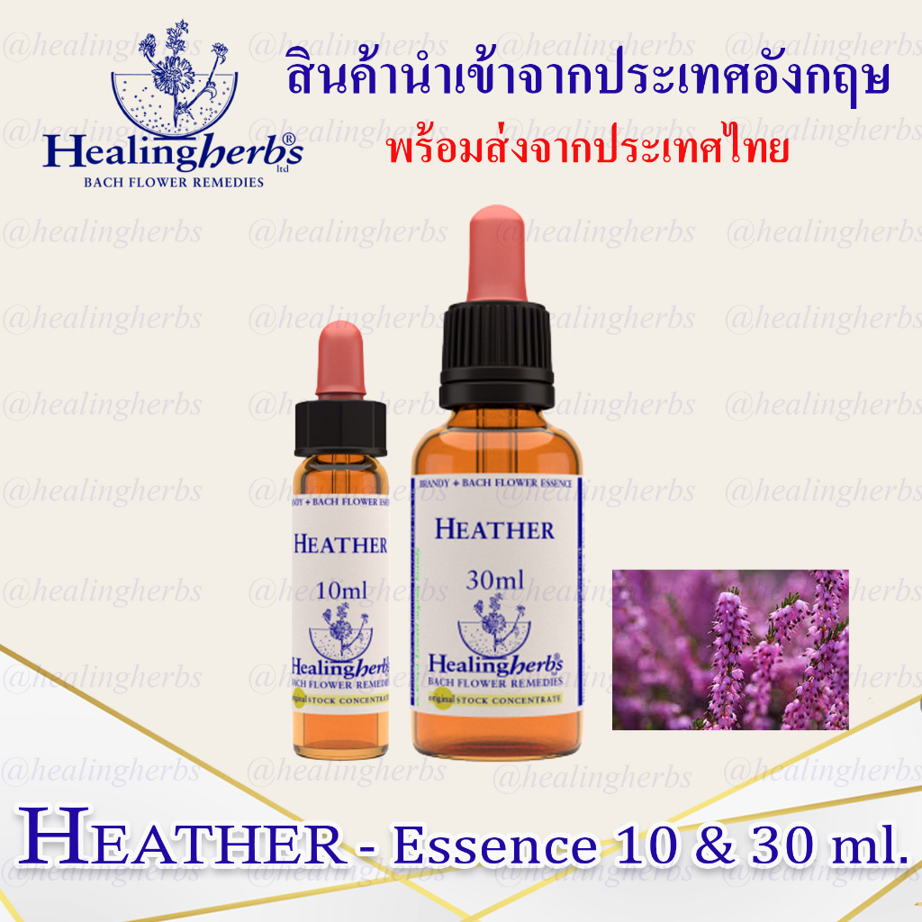 (Heather) Bach Flower Essence (droppler) ขนาด 10 ml. หรือ 30 ml. ของแท้ 100% ***พร้อมส่งในไทย***