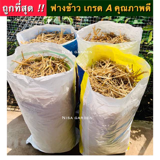 Nisa Garden ฟางข้าว 1 กระสอบใหญ่ ( 5 กิโลกรัม) ล็อตใหม่ ปี 2569!! ไม่ชื้น ไม่รา