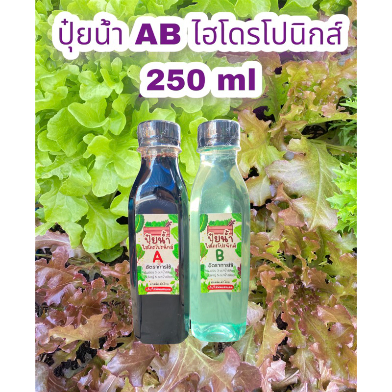 ปุ๋ยน้ำ AB ไฮโดรโปนิกส์ ระบบน้ํานิ่งและน้ำวน ขนาด 200 mL และ 250 ml ปลูกได้ทั้งผักไทย-ผักสลัด