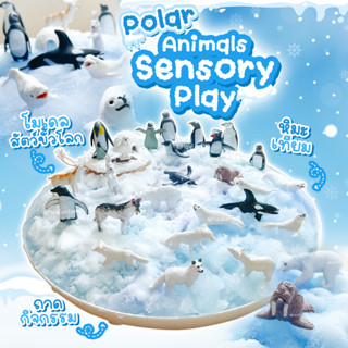 Polar animals Sensory play - โมเดลสัตว์ขั้วโลก