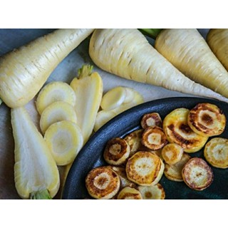 เมล็ดพันธุ์แครอทขาว คัททิเกอร์ (Kuttiger White Carrot Seed) บรรจุ 100 เมล็ด ของแท้ คุณภาพดี ราคาถูก นำเข้าจากต่างประเทศ