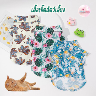 เสื้อฮาวายหมา เสื้อฮาวายแมว Sea Collection Hawaii Pet Shirt สุนัข ชุดหมา