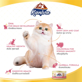 (1 ลัง) Kaniva Mother Cat & Kitten อาหารแมวคานิว่า ชนิดเปียก สูตรแม่แมว และลูกแมว แบบกระป๋อง