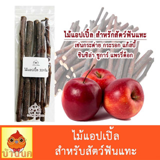 ไม้แอปเปิ้ล 30g Apple stick ไม้แทะ ลบคมฟัน ของเล่นกระรอก ของเล่นหนู กระต่าย กระรอก แก้สบี้ ชินชิล่า ชูการ์ แพรรี่ด็อก