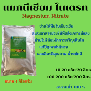 แมกนีเซียม ไนเตรท (Magnesium Nitrate) ช่วยให้พืชบเขียวเข้ม สังเคราะห์แสงได้ดี แก้ปัญหาต้นโทรม ละลายน้ำ 100%
