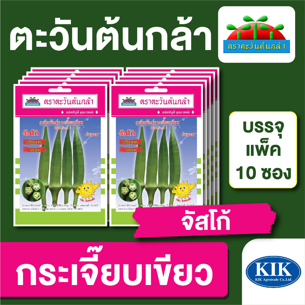 เมล็ดพันธุ์ ผักซอง ตะวันต้นกล้า SP กระเจี๊ยบเขียวจัสโก้ บรรจุแพคละ 10 ซอง