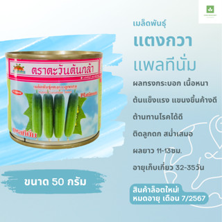 50กรัม แพลทีนั่ม แตงกวา แตงกวาแพตตินั่ม เมล็ดพันธุ์ ตะวันต้นกล้า แตงแพตตินั่ม แพทตินั่ม