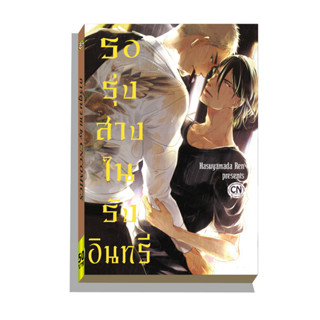 การ์ตูนวาย C3 รอรุ่งสางในรังอินทรี