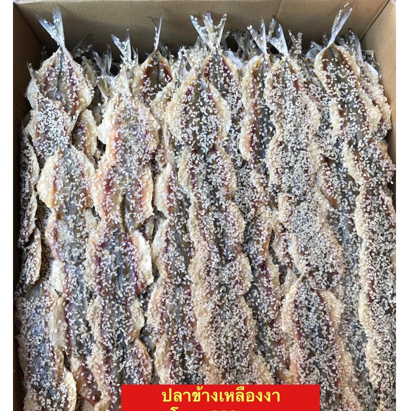 ปลาข้างงาเส้นเนื้อหวานอร่อยเนื้อนิ้มขนาด500กรัม