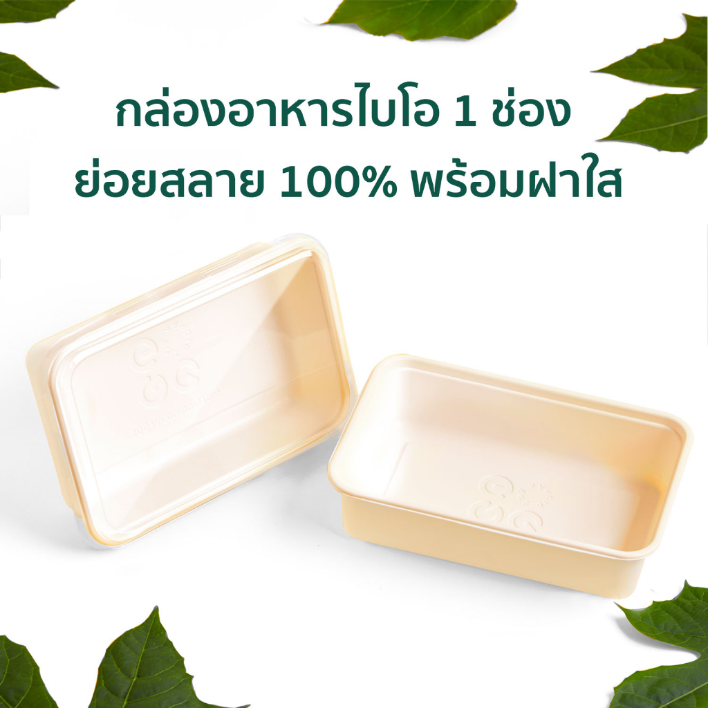 กล่องใส่อาหารพลาสติกย่อยสลายได้ PLA แบบ 1 ช่อง 600 มล. พร้อมฝา PET ใส (Eco-friendly Bio-compostable 