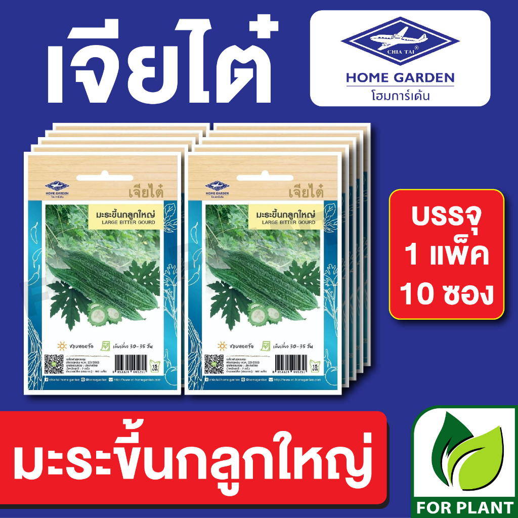 เมล็ดพันธุ์ ผักซอง มะระขี้นกลูกใหญ่ ตราเจียไต๋ CT15 บรรจุแพ็คล่ะ 10 ซอง ราคา 75 บาท