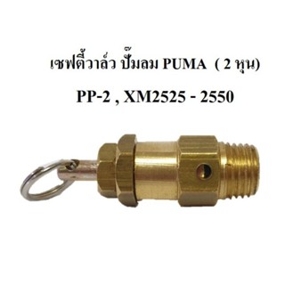 เซฟตี้วาล์วปั๊มลม Puma รุุ่นXM2525-2550