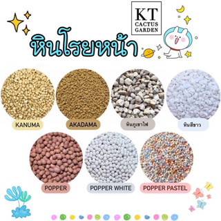 หินโรยหน้า สำหรับแคคตัส,ไม้อวบน้ำทุกสายพันธุ์