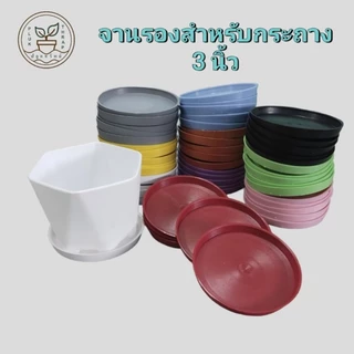 จานรองสำหรับกระถาง 3, 5, 8 นิ้ว (20, 10, 10 ใบ) / ถาดรองกระถางต้นไม้