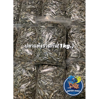 ปลาตากแห้งรวมๆกัน สดใหม่ น้ำหนัก 1 กิโลกรัม