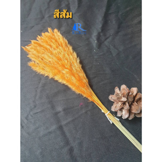 NEW ดอกหญ้าคา (สีส้ม) ( กำละ 40 ) ขนาด 45 cm. เป็นดอกไม้ธรรมชาติ ย้อมสี สีสันสดใส ใช้ประดับห้อง ร้าน งานแต่ง DIY