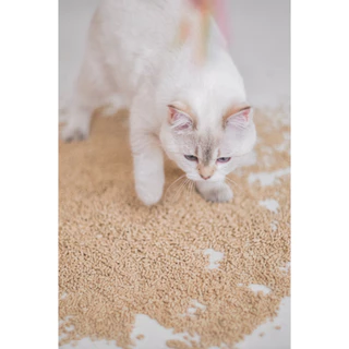 ⚡️ Chawa ทรายแมวเต้าหู้ผักตบชวา Tofu Cat Litter 10L/4.5kg เก็บกลิ่นดีมาก Odor Control ไร้ฝุ่น ทิ้งชักโครกได้
