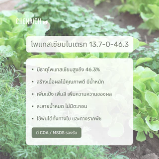 500G/1KG โพแทสเซียมไนเตรท ปุ๋ย 13-0-46 (โพแทสเซียมไนเตรต, ปุ๋ยโพแทสเซียม ไนเตรท) / Potassium nitrate (13-0-46) -Chemrich