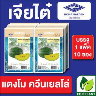 เมล็ดพันธุ์ ผักซอง แตงโมควีนเยลโล่ ตราเจียไต๋ บรรจุแพ็คล่ะ 10 ซอง ราคา 70 บาท