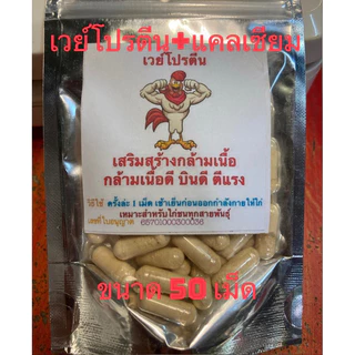 เวย์โปรตีน สำหรับไก่ชน แก้ไก่หน้าซีดได้ เสริมสร้างกล้ามเนื้อ กล้ามเนื้อดี บินดี ตีแรง