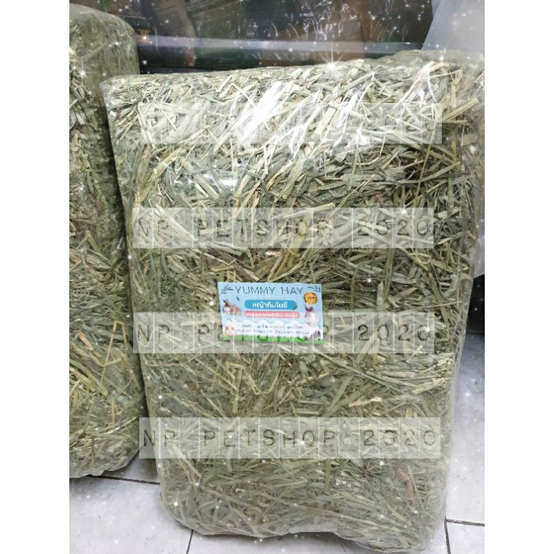 หญ้าทิมโมธี เกรดพรีเมี่ยมน้ำหนัก 5kg. usa.