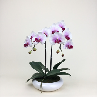 OrientalFineArt  ดอกกล้วยไม้ประดิษฐ์ Phalaenopsis orchid plant pot arrangement(ARMC-57049-W F36)