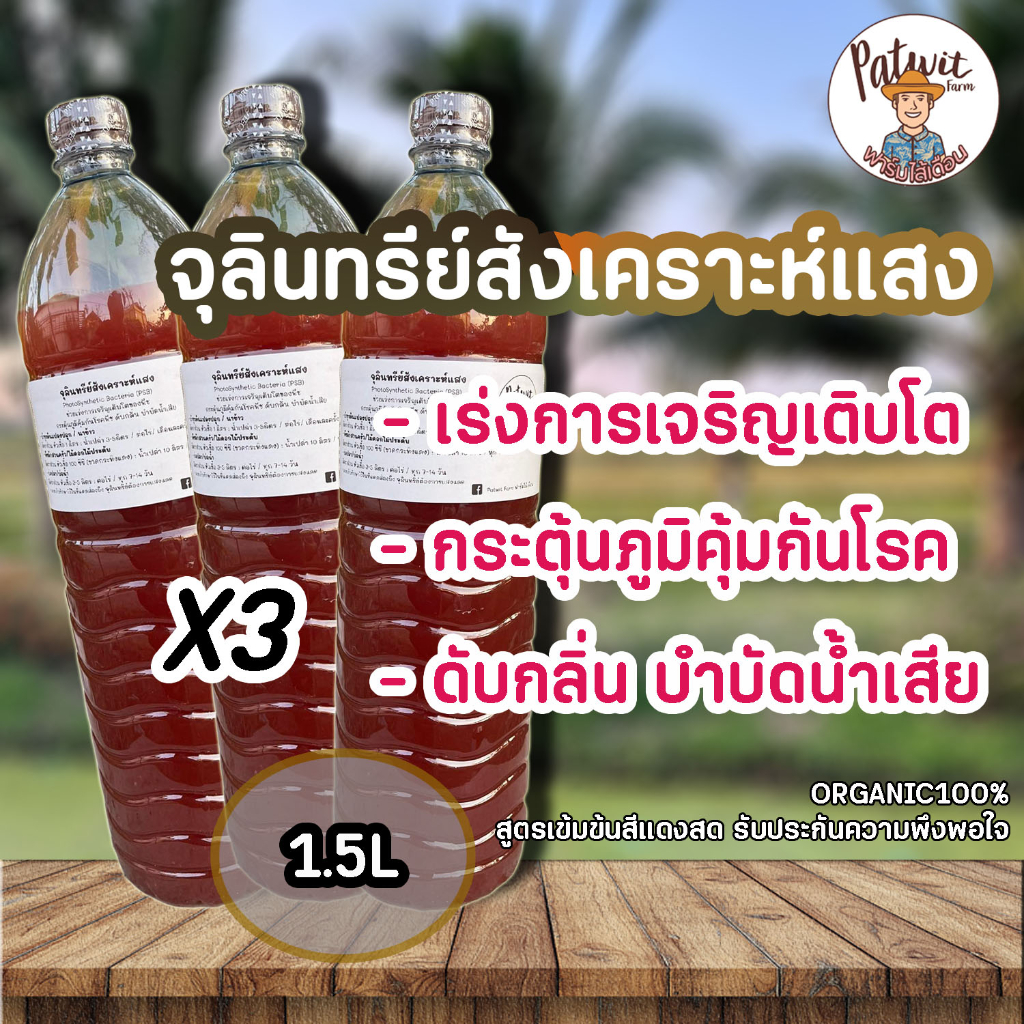 (ค่าส่งถูก)จุลินทรีย์สังเคราะห์แสง PSB ขนาด1.5L ชุด3ขวด สูตรเข้มข้นสีแดงสด ใช้ขยายเชื้อต่อได้ไม่รู้จบ เร่งการเจริญเติบโต