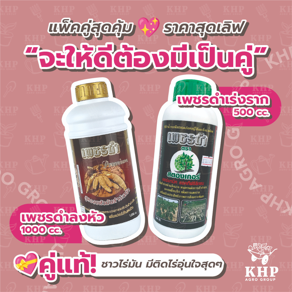 แพ็คคู่ เพชรดำ เร่งราก 500 cc. + เพชรดำ ลงหัว 1 ลิตร แช่ท่อนพันธุ์ เร่งรากมันสำปะหลัง เพิ่มแป้ง หัวใหญ่ น้ำหนักดีมาก