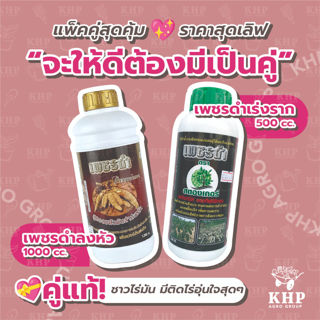 แพ็คคู่ เพชรดำ เร่งราก 500 cc. + เพชรดำ ลงหัว 1 ลิตร แช่ท่อนพันธุ์ เร่งรากมันสำปะหลัง เพิ่มแป้ง หัวใหญ่ น้ำหนักดีมาก