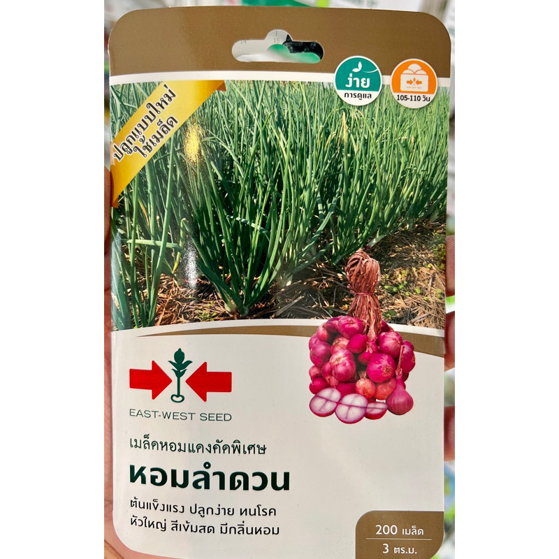ศรแดง เมล็ด หอมแดง หอมลำดวน (200 เมล็ด)