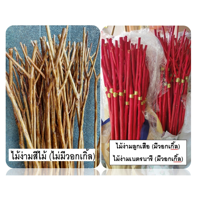 ไม้ง่าม ลูกเสือ-เนตรนารี /ราคาต่อชิ้น
