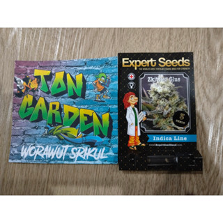 Expert Seeds Zkittlez Glue photo พร้อมแพ็คเกจค่ายเเท้และเเยก เมล็ดค่าย เมล็ดกัญ