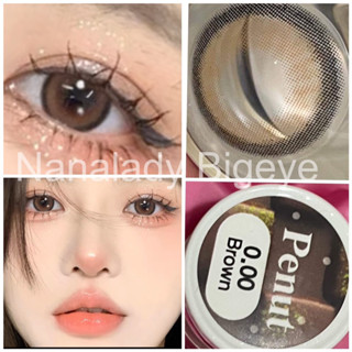 lovely คอนเเทคเลนส์ บิ๊กอาย Bigeye Brown สีน้ำตาล ขนาดตาโต Penut